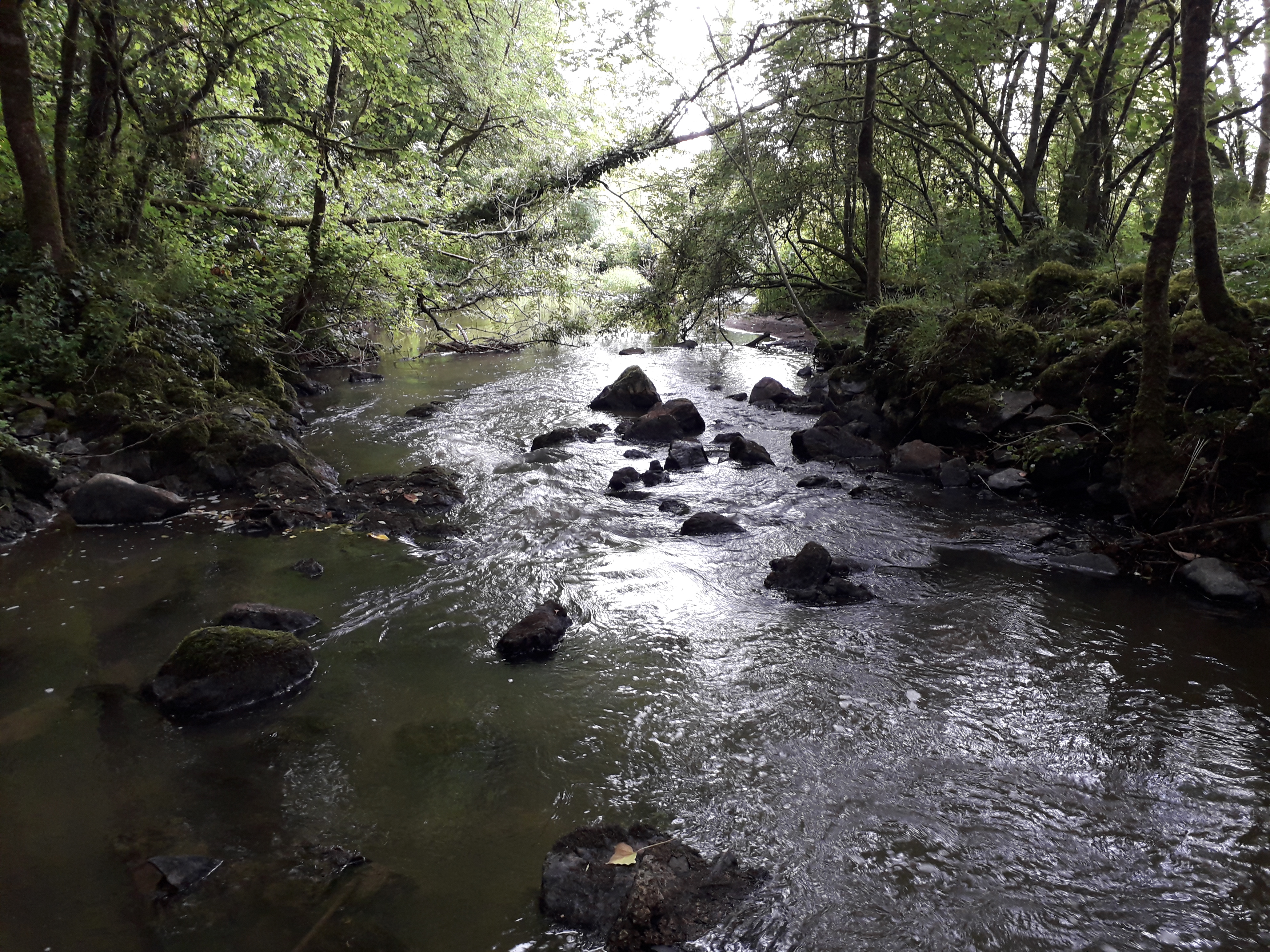 http://www.bassindulay.fr/uploads/images/slider/AM.Cours d'eau.jpg